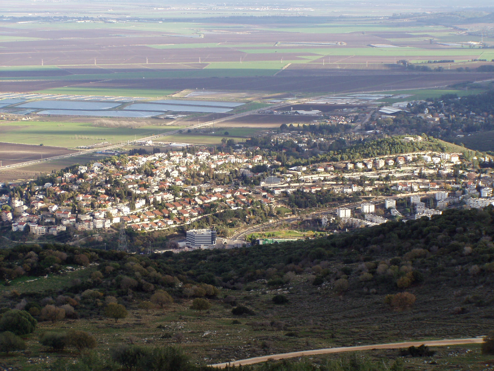 MOUNT CARMEL